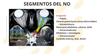 Comprehensive Overview of Optic Neuritis: Causes, Diagnosis, and ...