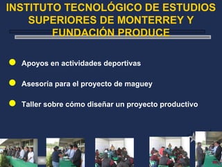 INSTITUTO TECNOLÓGICO DE ESTUDIOS
SUPERIORES DE MONTERREY Y
FUNDACIÓN PRODUCE
 Apoyos en actividades deportivas
 Asesoría para el proyecto de maguey
 Taller sobre cómo diseñar un proyecto productivo
 