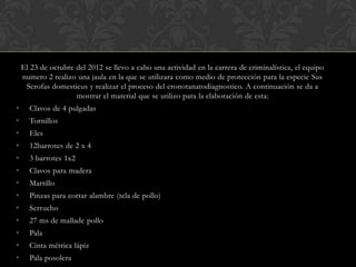 El 23 de octubre del 2012 se llevo a cabo una actividad en la carrera de criminalística, el equipo
    numero 2 realizo una jaula en la que se utilizara como medio de protección para la especie Sus
     Scrofas domesticus y realizar el proceso del cronotanatodiagnostico. A continuación se da a
                     mostrar el material que se utilizo para la elaboración de esta:
•     Clavos de 4 pulgadas
•     Tornillos
•     Eles
•     12barrotes de 2 x 4
•     3 barrotes 1x2
•     Clavos para madera
•     Martillo
•     Pinzas para cortar alambre (tela de pollo)
•     Serrucho
•     27 ms de mallade pollo
•     Pala
•     Cinta métrica lápiz
•     Pala posolera
 