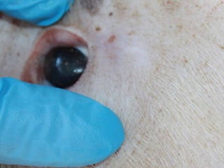 Presentacion Crono area Mexicali