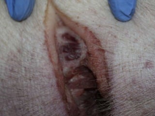 Presentacion Crono area Mexicali