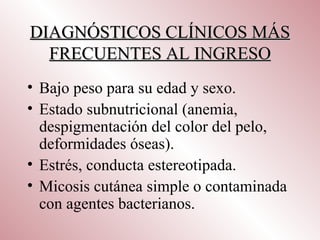 DIAGNÓSTICOS CLÍNICOS MÁS
  FRECUENTES AL INGRESO
• Bajo peso para su edad y sexo.
• Estado subnutricional (anemia,
  despigmentación del color del pelo,
  deformidades óseas).
• Estrés, conducta estereotipada.
• Micosis cutánea simple o contaminada
  con agentes bacterianos.
 