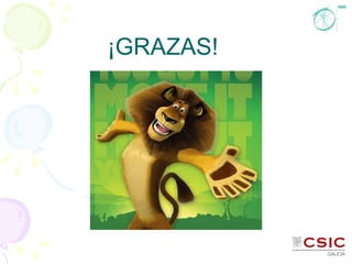 ¡GRAZAS! 