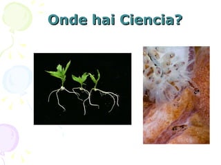 Onde hai Ciencia? 