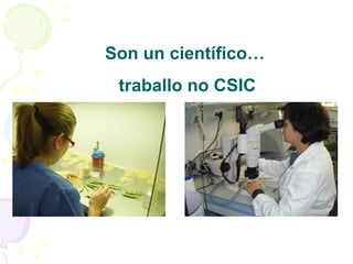 Son un científico… traballo no CSIC 