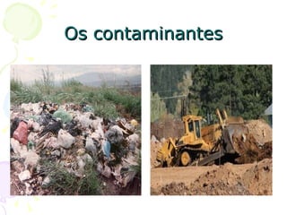 Os contaminantes 