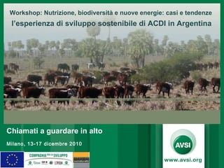 Chiamati a guardare in alto   Milano, 13-17 dicembre 2010 Workshop:  Nutrizione, biodiversità e nuove energie: casi e tendenze l’esperienza di sviluppo sostenibile di ACDI in Argentina 