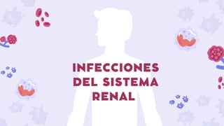 INFECCIONES
DEL SISTEMA
RENAL
 