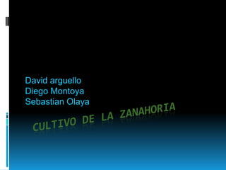 David arguello
Diego Montoya
Sebastian Olaya
 