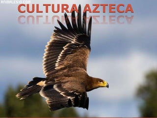 CULTURA AZTECA
 
