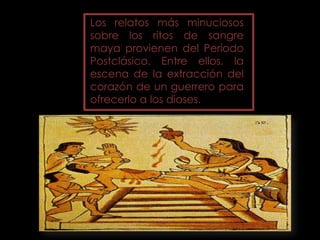 Los relatos más minuciosos
sobre los ritos de sangre
maya provienen del Período
Postclásico. Entre ellos, la
escena de la extracción del
corazón de un guerrero para
ofrecerlo a los dioses.
 