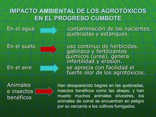 IMPACTO AMBIENTAL DE LOS AGROTÓXICOS EN EL PROGRESO CUMBOTEEn el aguacontaminación de las nacientes, 			       quebradas y estanques. En el suelo                 uso continuo de herbicidas, 				       gallinaza y fertilizantes 				               químicos (urea), genera                             			       infertilidad y erosión.En el aire		       se aprecia con facilidad el                       			       fuerte olor de los agrotóxicos.Animales 		e insectos benéficosHan desaparecido bagres en las quebradas, insectos benéficos como las abejas, y han muerto muchos animales silvestres, los animales de corral se encuentran en peligro por su cercanía a los cultivos fumigados.