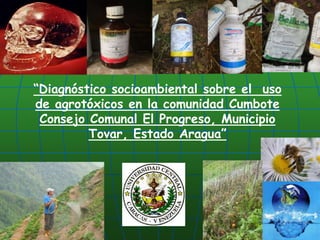 “Diagnóstico socioambiental sobre el  uso de agrotóxicos en la comunidad Cumbote Consejo Comunal El Progreso, Municipio Tovar, Estado Aragua”