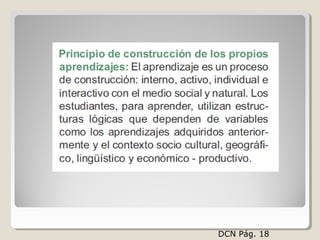 DCN Pág. 18
 