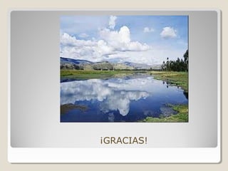 ¡GRACIAS!
 