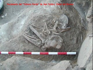 34 
Yacimiento del “Cabezo Pardo” de San Isidro; Edad del Bronce 
 