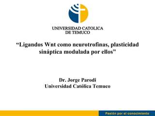 “Ligandos Wnt como neurotrofinas, plasticidad
        sináptica modulada por ellos”



                Dr. Jorge Parodi
          Universidad Católica Temuco
 