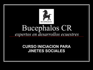 CURSO INICIACION PARA JINETES SOCIALES Bucephalos CR expertos en desarrollos ecuestres 