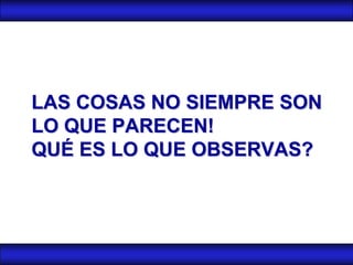 LAS COSAS NO SIEMPRE SON
LO QUE PARECEN!
QUÉ ES LO QUE OBSERVAS?
 