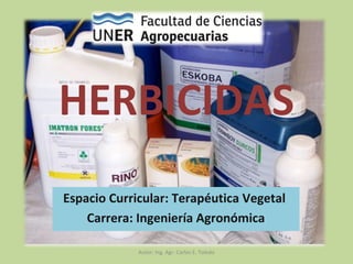 HERBICIDAS
Espacio Curricular: Terapéutica Vegetal
Carrera: Ingeniería Agronómica
Autor: Ing. Agr. Carlos E. Toledo
 