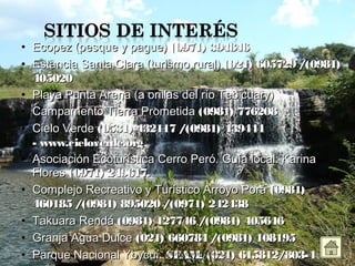 • Ecopez (pesque y pague)Ecopez (pesque y pague) (0971) 394846(0971) 394846
• Estancia Santa Clara (turismo rural)Estancia Santa Clara (turismo rural) (021) 605729 /(0981)(021) 605729 /(0981)
405020405020
• Playa Punta Arena (a orillas del río Tebicuary)Playa Punta Arena (a orillas del río Tebicuary)
• Campamento Tierra PrometidaCampamento Tierra Prometida (0981) 776208(0981) 776208
• Cielo VerdeCielo Verde (0531) 432117 /(0981) 439444(0531) 432117 /(0981) 439444
- www.cieloverde.org- www.cieloverde.org
• Asociación Ecoturística Cerro Peró. Guía local: KarinaAsociación Ecoturística Cerro Peró. Guía local: Karina
FloresFlores (0971) 249617.(0971) 249617.
• Complejo Recreativo y Turístico Arroyo PoráComplejo Recreativo y Turístico Arroyo Porá (0981)(0981)
460185 /(0981) 895020 /(0971) 242438460185 /(0981) 895020 /(0971) 242438
• Takuara Rendá Takuara Rendá (0981) 127746 /(0981) 405646(0981) 127746 /(0981) 405646
• Granja Agua DulceGranja Agua Dulce (021) 660784 /(0981) 108195(021) 660784 /(0981) 108195
• Parque Nacional Ybycuí.Parque Nacional Ybycuí. SEAM: (021) 615812/803-4SEAM: (021) 615812/803-4Paraguarí Cynthia Moreno
 