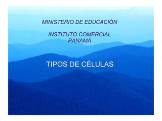MINISTERIO DE EDUCACIÓN
INSTITUTO COMERCIAL
PANAMÁ
TIPOS DE CÉLULAS
 