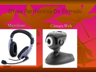   Micrófono Cámara Web Otros Periféricos De Entrada 