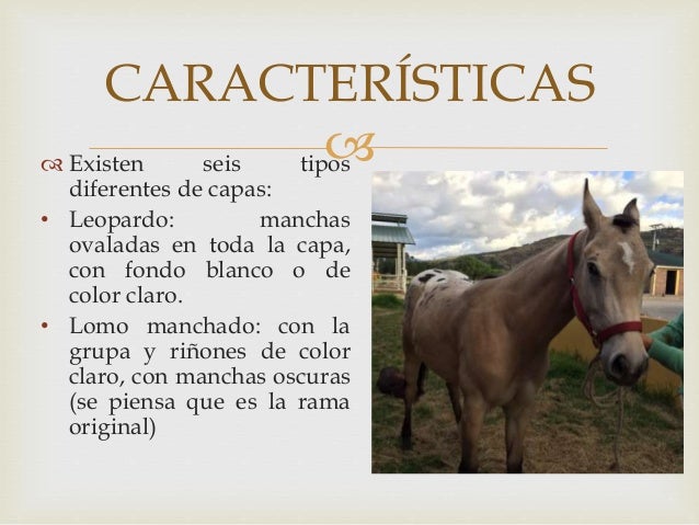 Como broncearse que no había manchas de pigmento