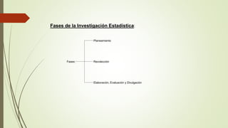 Fases de la Investigación Estadística:
Planeamiento
Fases: Recolección
Elaboración, Evaluación y Divulgación
 