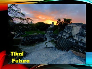 Tikal
Futura
 