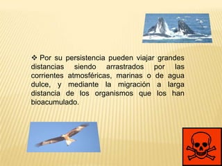  Por su persistencia pueden viajar grandes
distancias siendo arrastrados por las
corrientes atmosféricas, marinas o de agua
dulce, y mediante la migración a larga
distancia de los organismos que los han
bioacumulado.
 