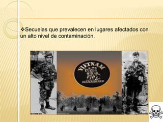 Secuelas que prevalecen en lugares afectados con
un alto nivel de contaminación.
 