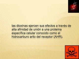 las dioxinas ejercen sus efectos a través de
alta afinidad de unión a una proteína
específica celular conocido como el
hidrocarburo arilo del receptor (AHR).
 