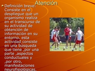 Atención Definición breve: Consiste en el despliegue que un organismo realiza en el transcurso de su actividad de obtención de información en su entorno. esta actividad consiste en una búsqueda que tiene ,por una parte ,aspectos conductuales y ,por otro, manifestaciones neurofisiológicas.  