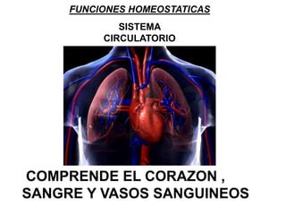 FUNCIONES HOMEOSTATICAS
SISTEMA
CIRCULATORIO
COMPRENDE EL CORAZON ,
SANGRE Y VASOS SANGUINEOS
 