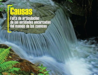 Causas
Falta de articulación
de las entidades encarcadas
del manejo de las cuencas
Falta de articulación
de las entidades encarcadas
del manejo de las cuencas
 