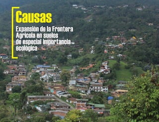 Causas
Expansión de la Frontera
Agricola en suelos
de especial importancia
ecológica
Expansión de la Frontera
Agricola en suelos
de especial importancia
ecológica
 