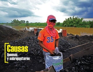 Quemas
y sobrepastoreo
Causas
 