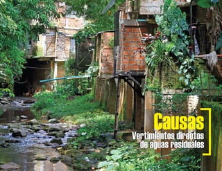 Vertimientos directosVertimientos directos
de aguas residualesde aguas residuales
Causas
 
