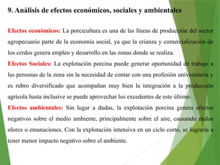 9. Análisis de efectos económicos, sociales y ambientales
Efectos económicos: La porcicultura es una de las líneas de producción del sector
agropecuario parte de la economía social, ya que la crianza y comercialización de
los cerdos genera empleo y desarrollo en las zonas donde se realiza.
Efectos Sociales: La explotación porcina puede generar oportunidad de trabajo a
las personas de la zona sin la necesidad de contar con una profesión universitaria y
es rubro diversificado que acompañan muy bien la integración a la producción
agrícola hasta inclusive se puede aprovechar los excedentes de este último.
Efectos ambientales: Sin lugar a dudas, la explotación porcina genera efectos
negativos sobre el medio ambiente, principalmente sobre el aire, causando malos
olores o emanaciones. Con la explotación intensiva en un ciclo corto, se lograría a
tener menor impacto negativo sobre el ambiente.
 