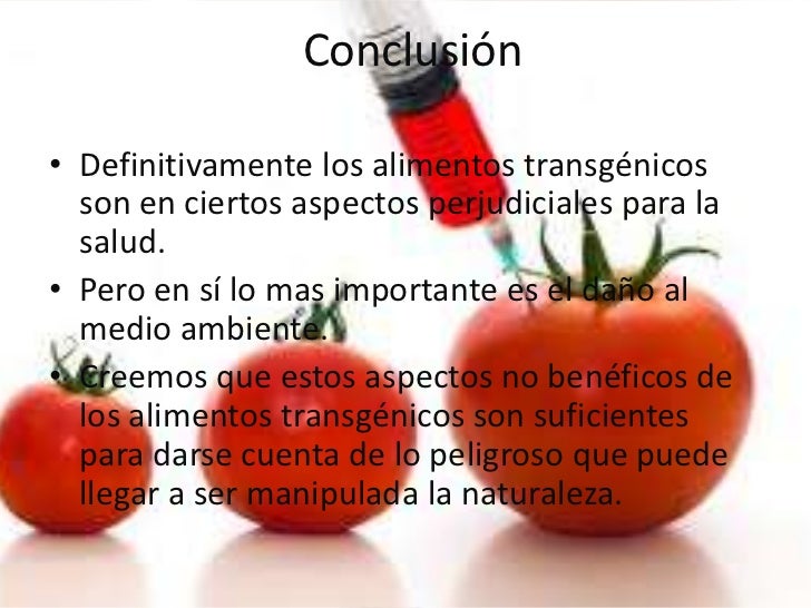 definicion de alimentos transgenicos alimentos transg 233 nicos definicion de alimentos transgenicos alimentos transg 233 nicos