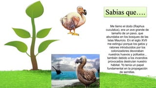 Sabias que….
Me llamo el dodo (Raphus
cuculatus), era un ave grande de
tamaño de un pavo, que
abundaba en los bosques de las
Islas Mauricio. En el siglo XVII
me extinguí porque los gatos y
ratones introducidos por los
colonizadores devoraban
nuestros huevos y polluelos ,
también debido a los incendios
provocados destruían nuestro
hábitat. Yo tenía un papel
fundamental en la propagación
de semillas.
 