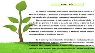 CONCLUSIÓN
La presencia humana está estrechamente relacionada con el aumento de la
extinción de especies. La explotación, la destrucción del hábitat, el cambio climático,
las enfermedades y las introducciones invasivas son los principales efectos.
Las mayores amenazas a la biodiversidad son la destrucción del hábitat y la
explotación que proviene de la caza, la pesca, la caza furtiva y el comercio ilegal,
entre otros. La destrucción del hábitat consiste en el cambio del uso de la tierra, la
degradación o la fragmentación. Las poblaciones humanas aumentan y se expanden,
el desarrollo, la contaminación, la urbanización y la expansión agrícola amenazan
numerosos hábitats en ecosistemas diversos.
Es de suma importancia desarrollar formas rápidas y efectivas de proteger a
las especies de la extinción. Si dejamos de conservar las especies que se enfrentan a
la extinción ahora, estamos allanando el camino para un agotamiento más fácil y
rápido en el futuro. Viviremos en un mundo domesticado que carece de biodiversidad.
 