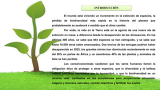 INTRODUCCIÓN
El mundo está viviendo un incremento en la extinción de especies, la
pérdida de biodiversidad más rápida en la historia del planeta que
probablemente se acelerará a medida que el clima cambie.
Por ende, la vida en la Tierra está en la agonía de una nueva ola de
extinción en masa, a diferencia desde la desaparición de los dinosaurios. En los
últimos 500 años, se sabe que 844 especies se han extinguido, y se sabe que
hasta 16.000 otras están amenazadas. Dos tercios de las tortugas podrían haber
desaparecido en 2025, los grandes simios han disminuido recientemente en más
del 50% en partes de África y un asombroso 40% de las plantas y animales de
Asia se han perdido.
Los conservacionistas sostienen que los seres humanos tienen la
obligación ética de proteger a otras especies, que la diversidad y la belleza
natural son muy apreciadas por la humanidad, y que la biodiversidad es un
recurso vital: confiamos en los ecosistemas para proporcionar alimentos,
oxígeno y recursos naturales, reciclar desechos y fertilizar los suelos.
 