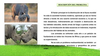 El factor principal en la disminución de la fauna mundial
ha sido la sociedad humana moderna, operando ya sea en forma
directa a través de una cacería comercial excesiva o, lo que es
más desastroso, indirectamente por invasión o destrucción de
los hábitats naturales, dando armas de fuego a quienes antes no
tenían y la introducción de talas excesivas en Indonesia, trayendo
destrucción del hábitat de los animales.
Los animales se enfrentan cada año a un pelotón de
fusilamiento en todos los rincones de África y que pone en duda
su supervivencia.
No es solo un problema medioambiental, es también un
problema de criminalidad, terrorismo y geopolítica de primer
orden.
DESCRIPCIÓN DEL PROBLEMA
 