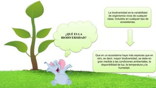La biodiversidad es la variabilidad
de organismos vivos de cualquier
clase, incluidos en cualquier tipo de
ecosistemas.
Que en un ecosistema haya más especies que en
otro, es decir, mayor biodiversidad, se debe en
gran medida a las condiciones ambientales, la
disponibilidad de luz, la temperatura y la
humedad.
¿QUÉ ES LA
BIODIVERSIDAD?
 