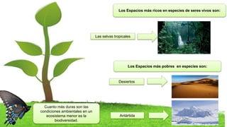 Los Espacios más ricos en especies de seres vivos son:
Cuanto más duras son las
condiciones ambientales en un
ecosistema menor es la
biodiversidad.
Los Espacios más pobres en especies son:
Las selvas tropicales
Desiertos
Antártida
 
