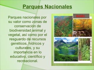 Parques Nacionales
Parques nacionales por
su valor como zonas de
     conservación de
 biodiversidad animal y
vegetal, así como por el
 resguardo de recursos
  genéticos, hídricos y
      culturales, y su
    importancia en lo
  educativo, científico y
       recreacional.
 