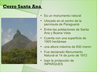 Cerro Santa Ana
              • Es un monumento natural
              • Ubicado en el centro de la
                península de Paraguaná
              • Entre las poblaciones de Santa
                Ana y Buena Vista
              • Cuenta con una superficie de
                1900 hectáreas
              • una altura máxima de 830 msnm
              • Fue declarado Monumento
                Natural el 14 de junio de 1972
              • bajo la protección de
                INPARQUES
 