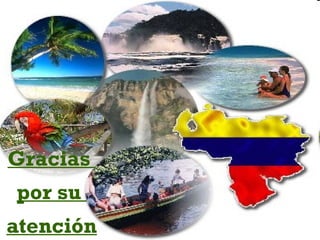 Gracias
por su
atención
 